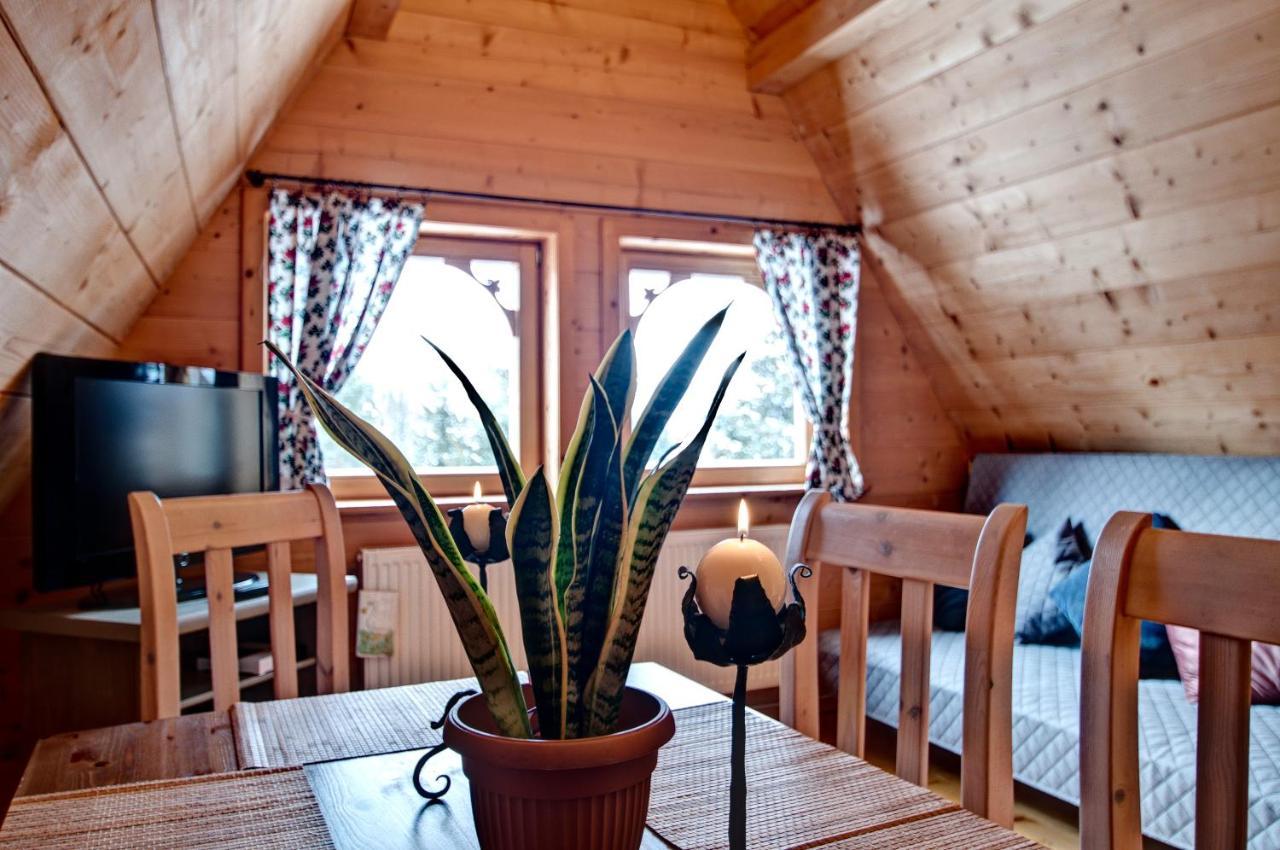 Willa Sawa - Rysulowka Kościelisko Extérieur photo